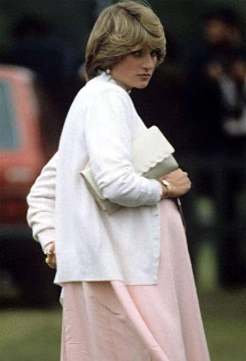 戴安娜秘密记录说查尔斯对哈里·王子出生感到失望:他失望什么?