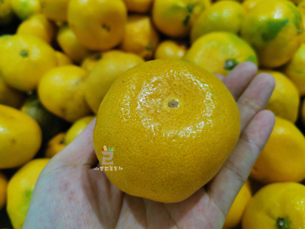 买橘子,选"尖的"还是"扁的"?