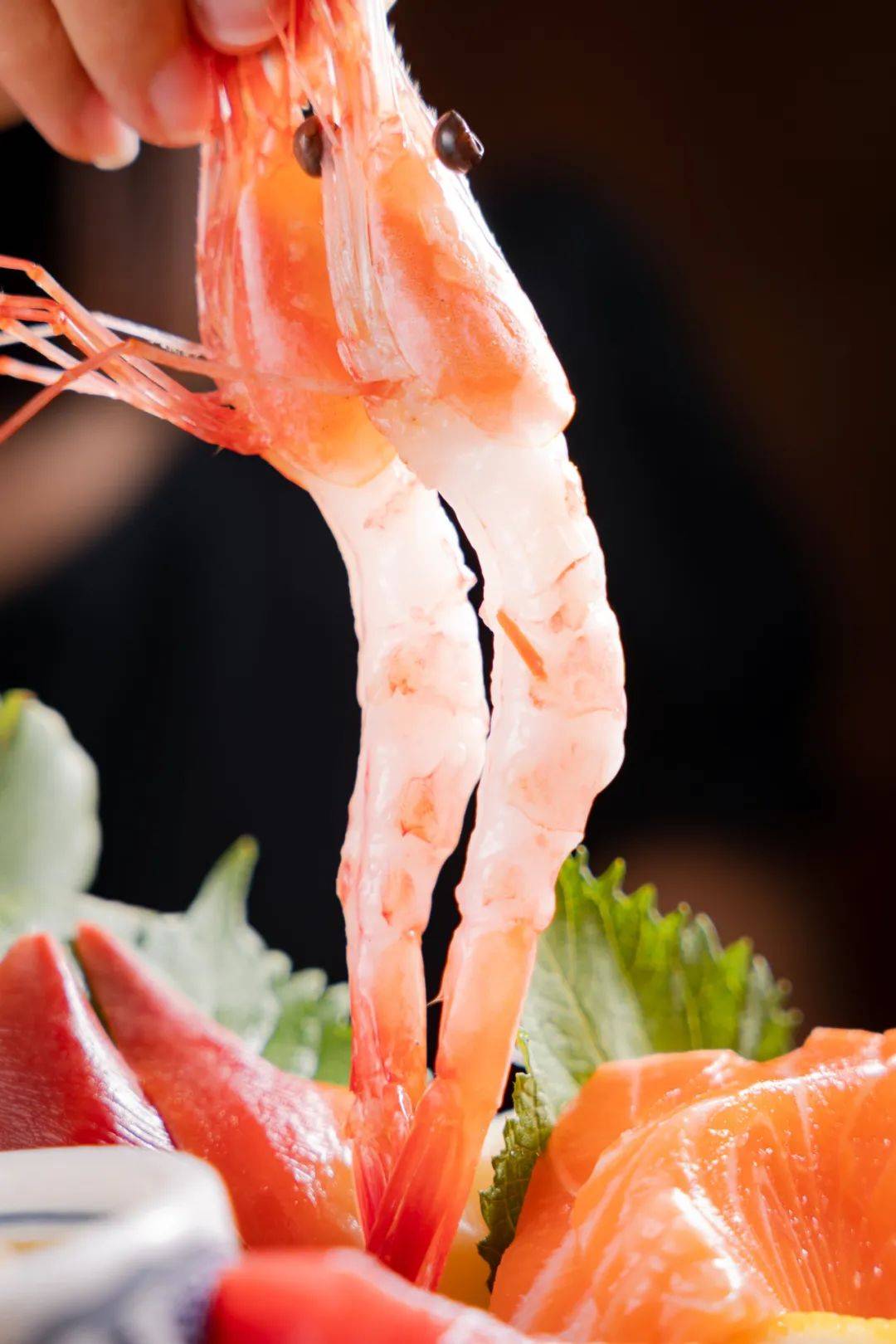 日剧同款「流心蛋包饭」,蓝鳍金枪鱼,甜虾刺身