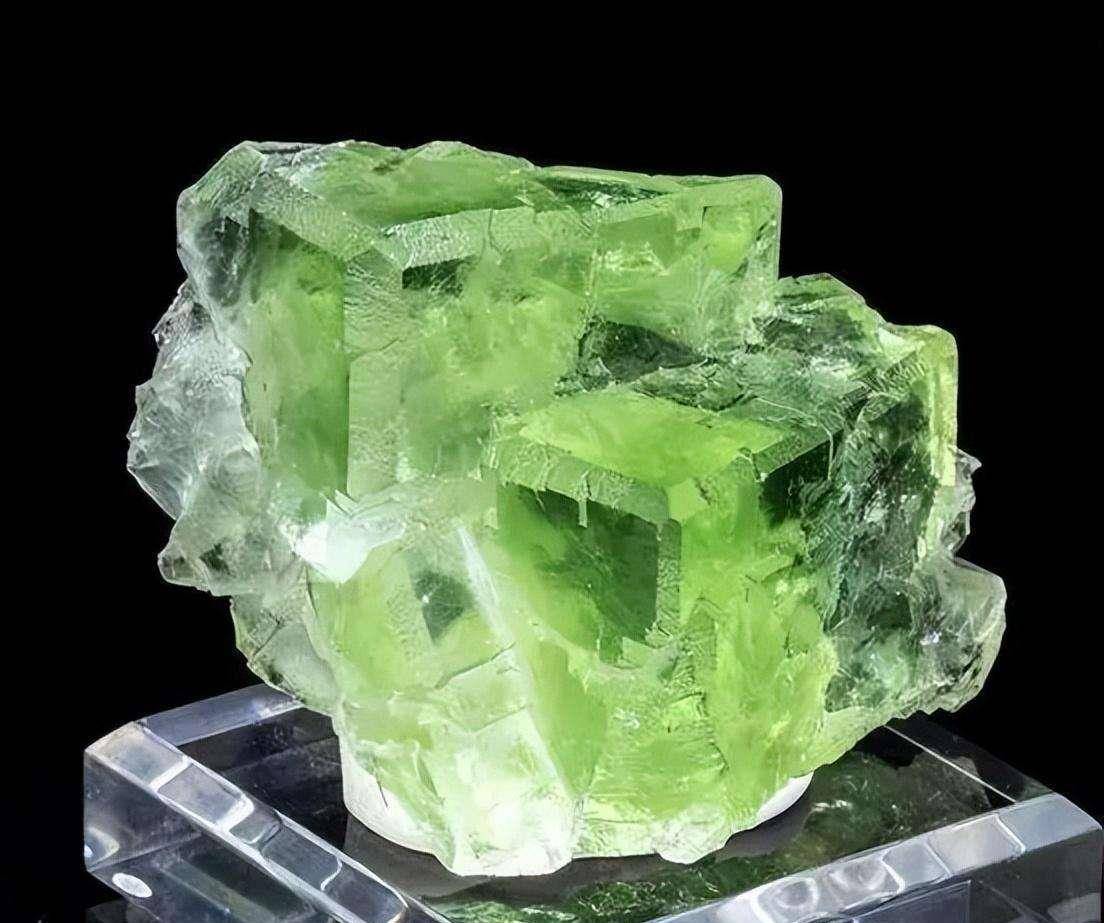 福建深山发现"蛇眼石",散发奇香冒绿光,深夜引来大量毒蛇聚集_石头