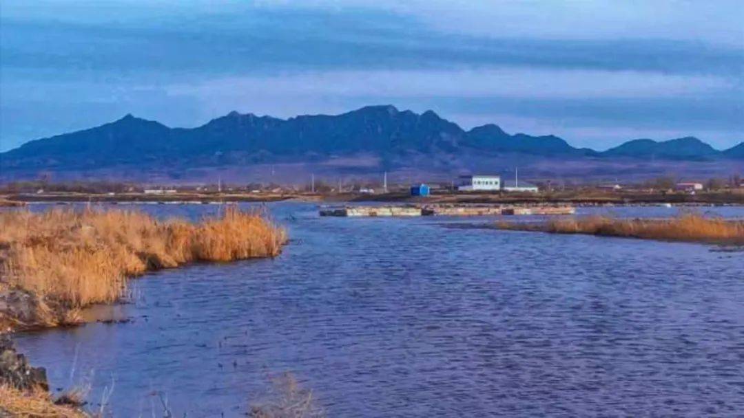官厅湖,龙庆峡,野山坡,康西草原联成一片的旅游胜地其中森林资源