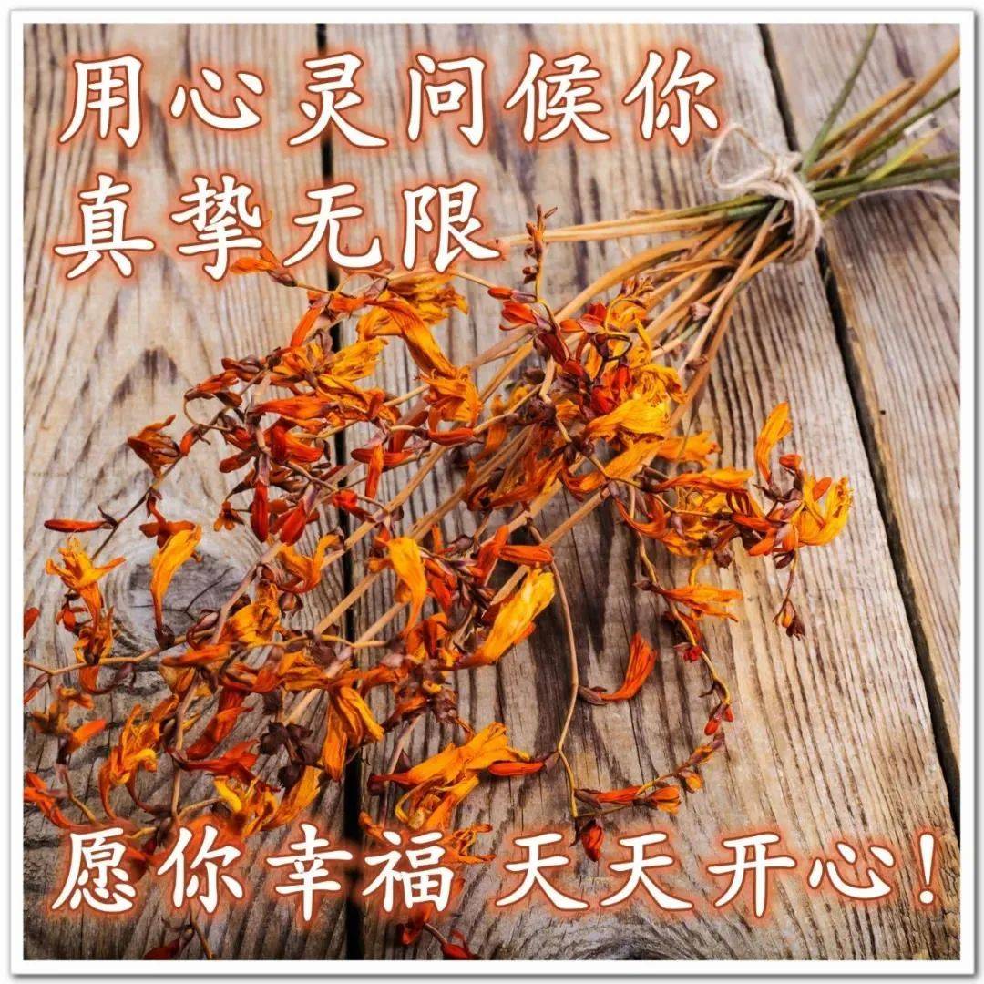 问候辛苦的图片带字图片