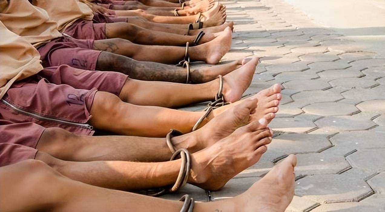 异种器官移植新突破,猪肾移植人体61天!_人类_基因_科学家们