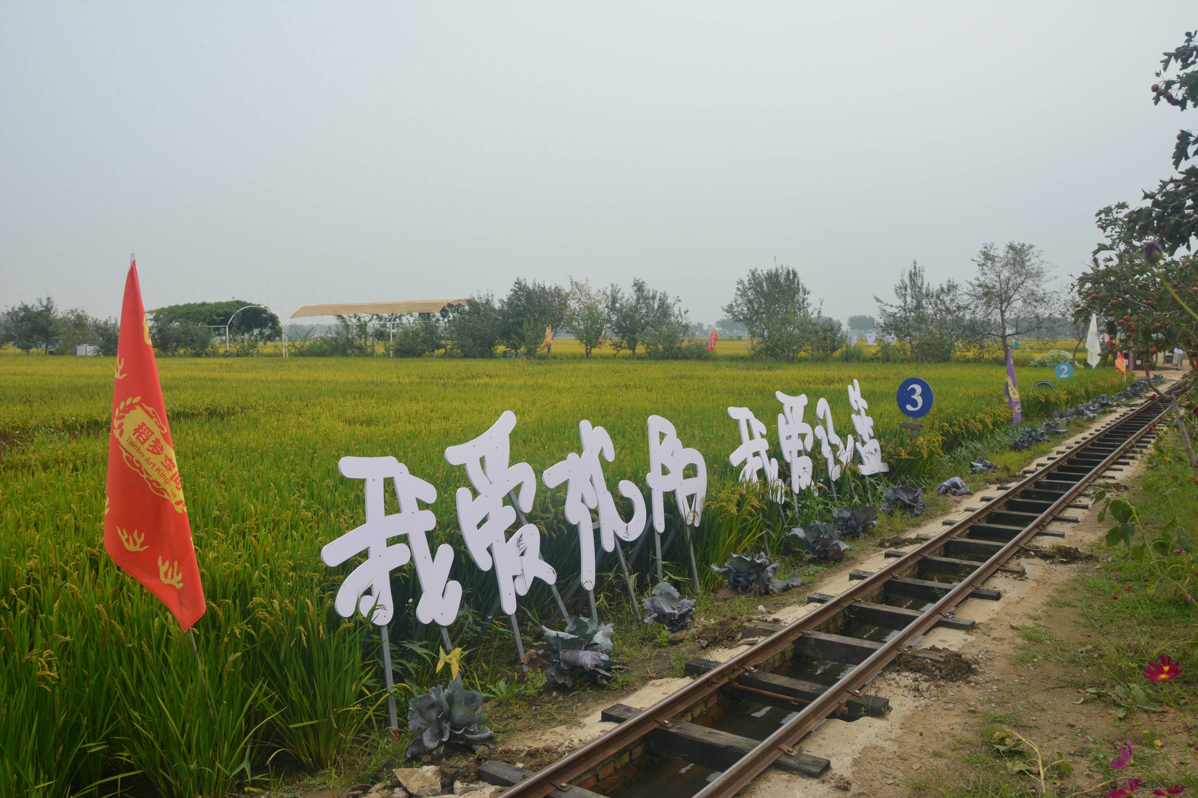 图片关键词 图片关键词