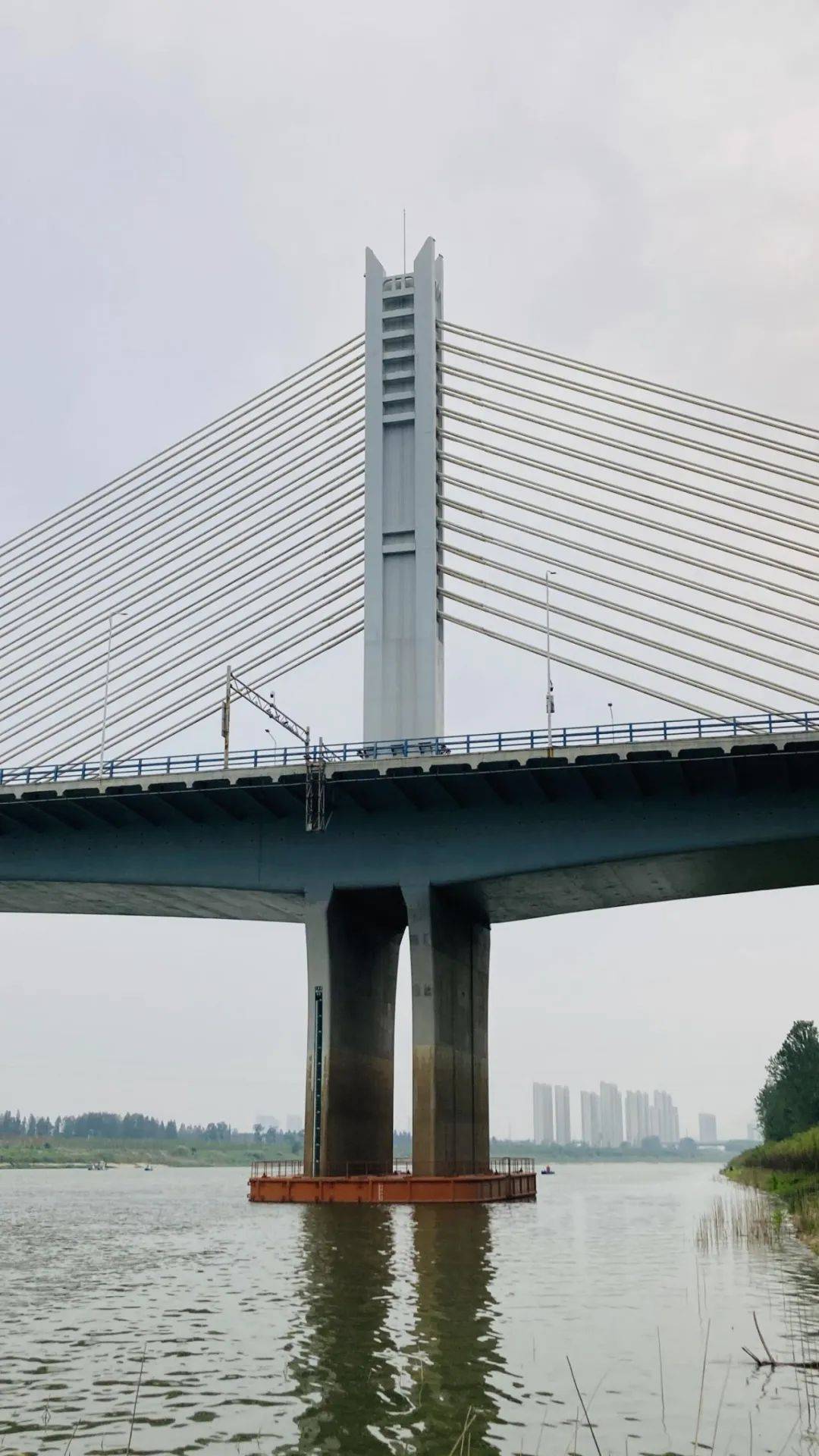 中法友谊大桥:武汉"最失望"的汉江大桥_两岸_江堤_四环