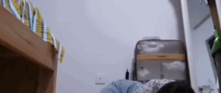 网友买了一只哈士奇，本以为能驯服它，结果却在意料之中 