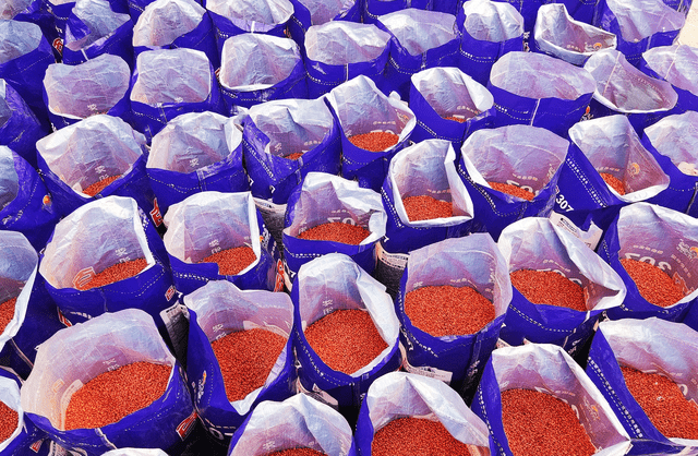 小麦拌种到底有没有用?能不能增产?需要二次拌种吗?