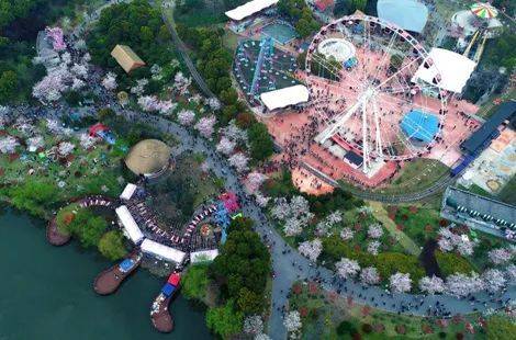 儿童森林嘉年华的粉色摩天轮已成为公园新地标.