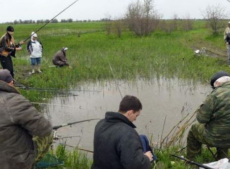 早上惹老婆生气了,这货居然拿出两颗胶囊药_蛋糕_女孩子_牙签