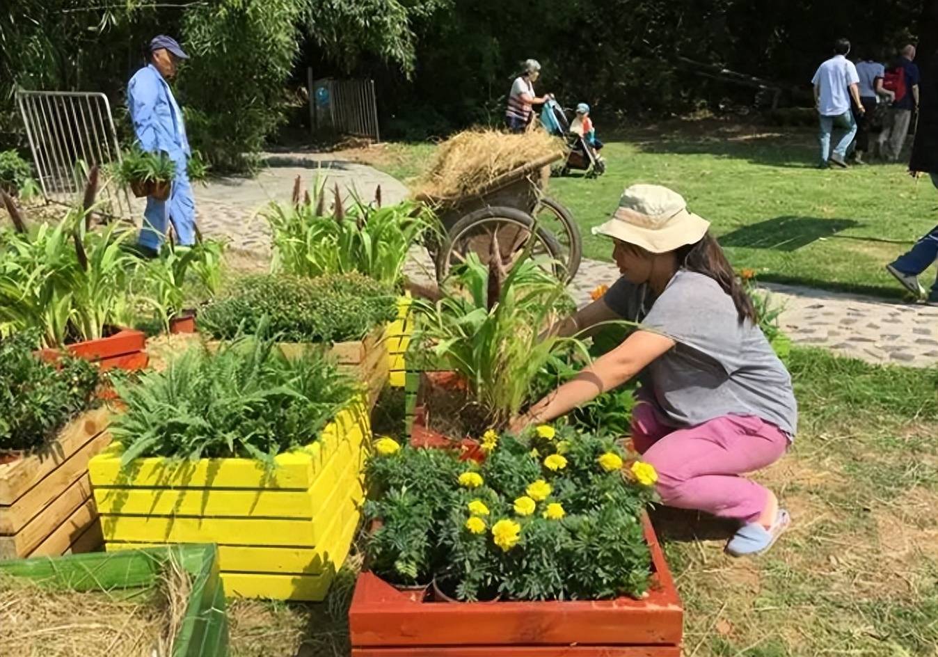 什么是园艺师,园艺师证有什么用_考试_植物学_证书
