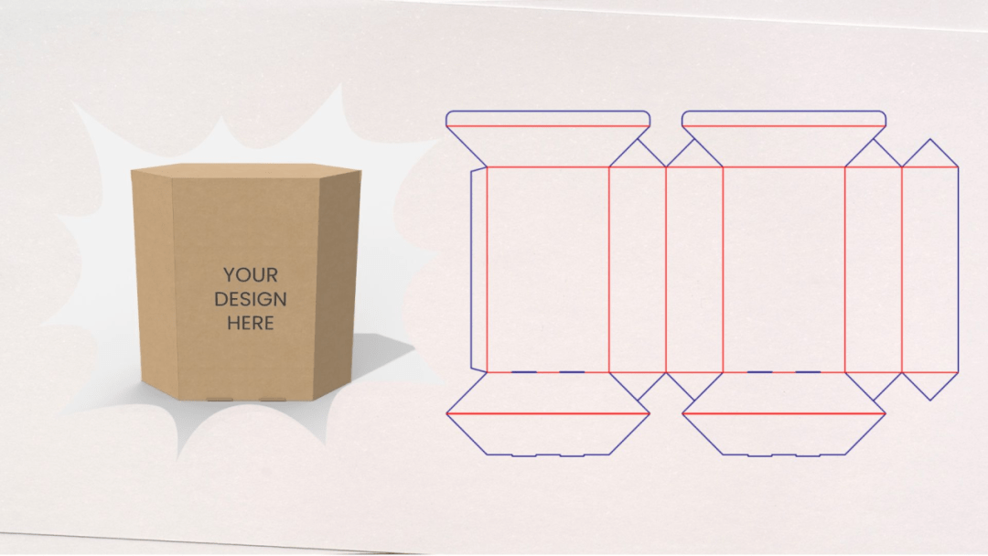 六边形盒子的展开图图片