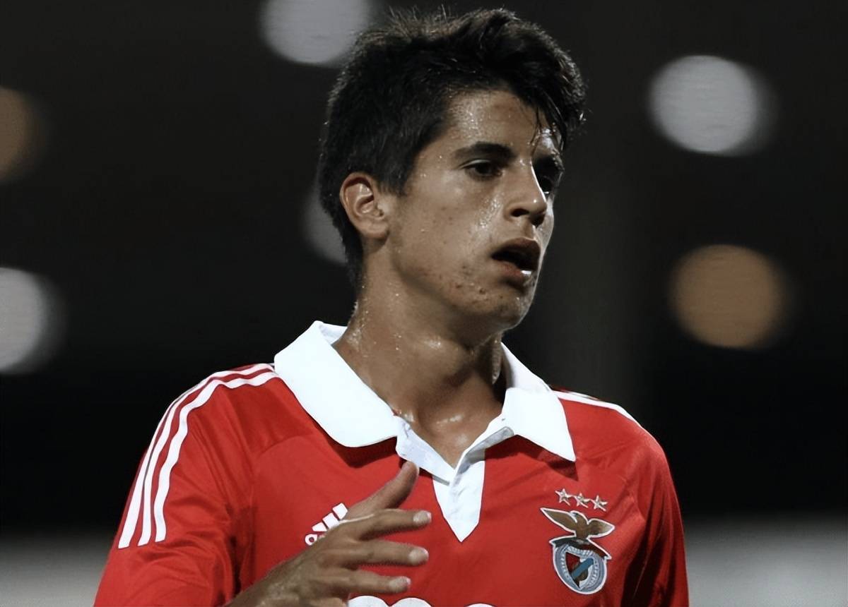 1994年5月27日,若昂-坎塞洛出生在葡萄牙的塞巴图尔图,13岁时,他成功