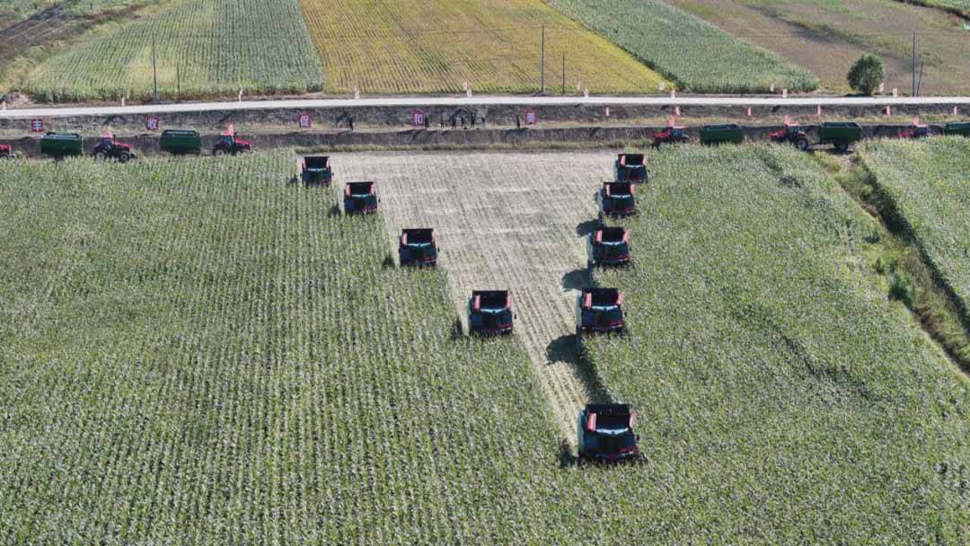 佳木斯市委副书记,市长王铁,佳木斯市委常委,抚远市委书记何大海