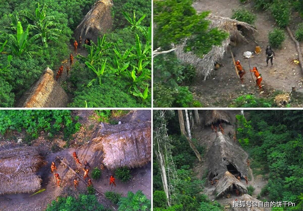 森蒂纳尔人生活在北哨兵岛的热带雨林中,靠捕鱼和采集为生.