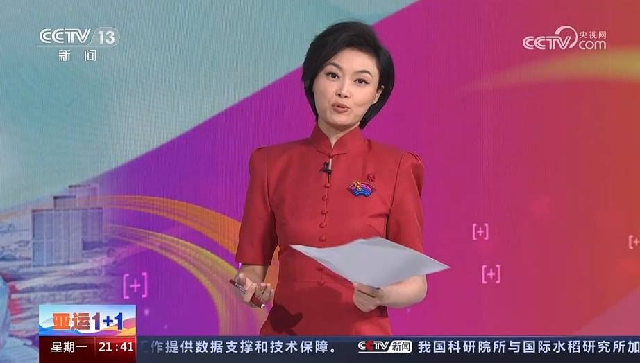 央视:新上《亚运1 1》节目,老将白岩松奔赴杭州赛场做现场点评_新闻