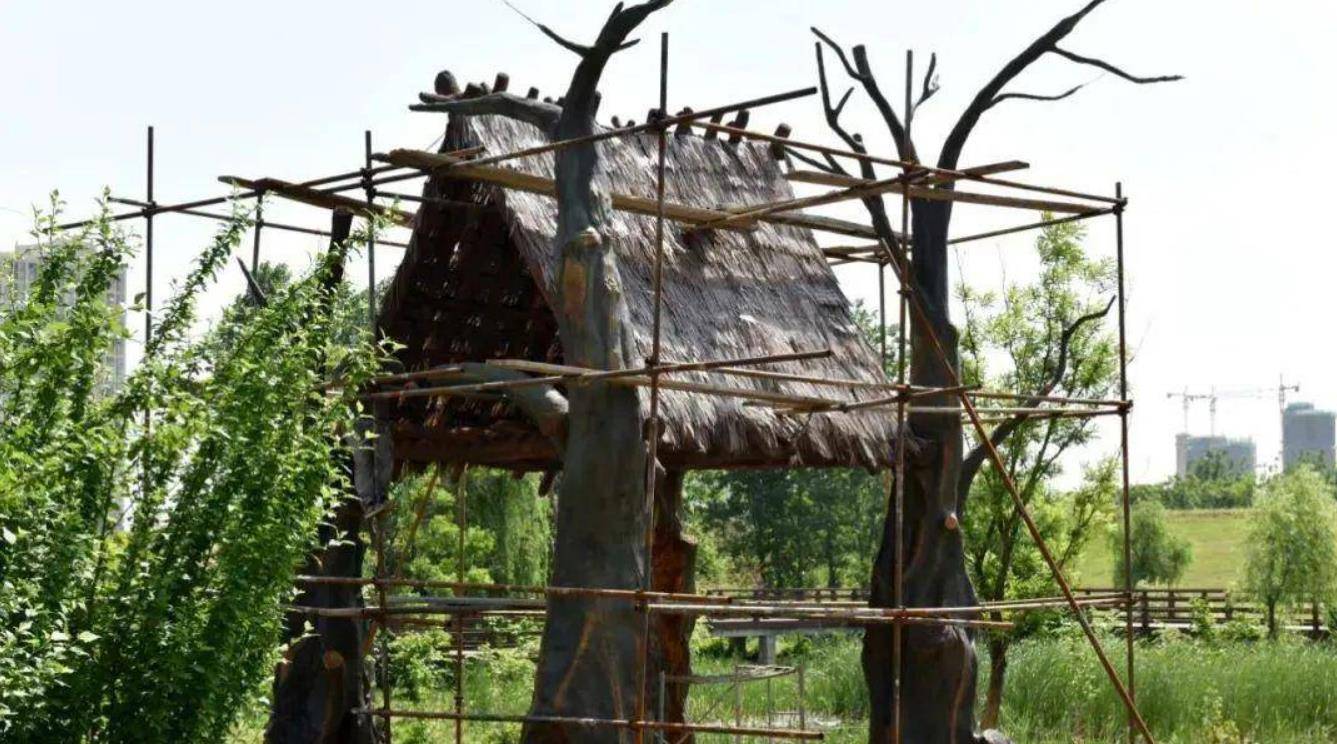 传说中的有巢氏,在安徽省立国,国家直到春秋时期才被灭亡_动物_人类