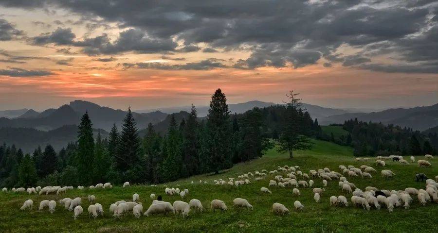 当家电卖场没人后,经销商不如深耕这个赛道!-家电圈官网