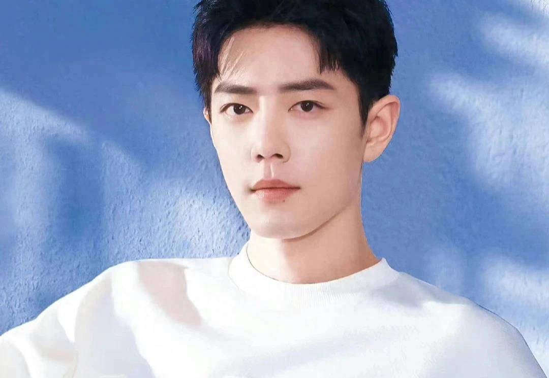 专家夸赞肖战自降片酬,非常有意义_实力_研讨_利益