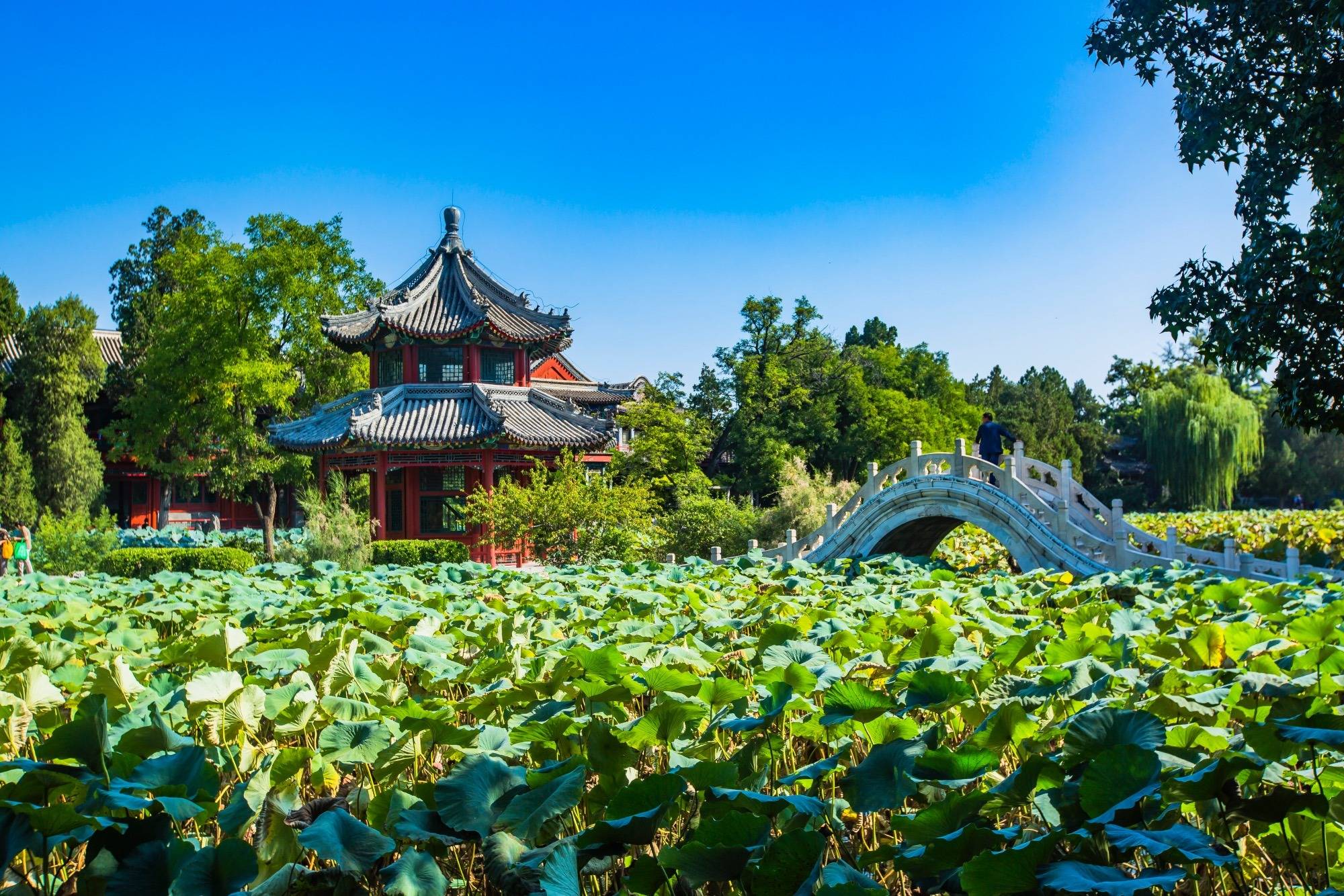 保定古莲花池,充满江南风情的北方园林,园中还藏有众多历史故事