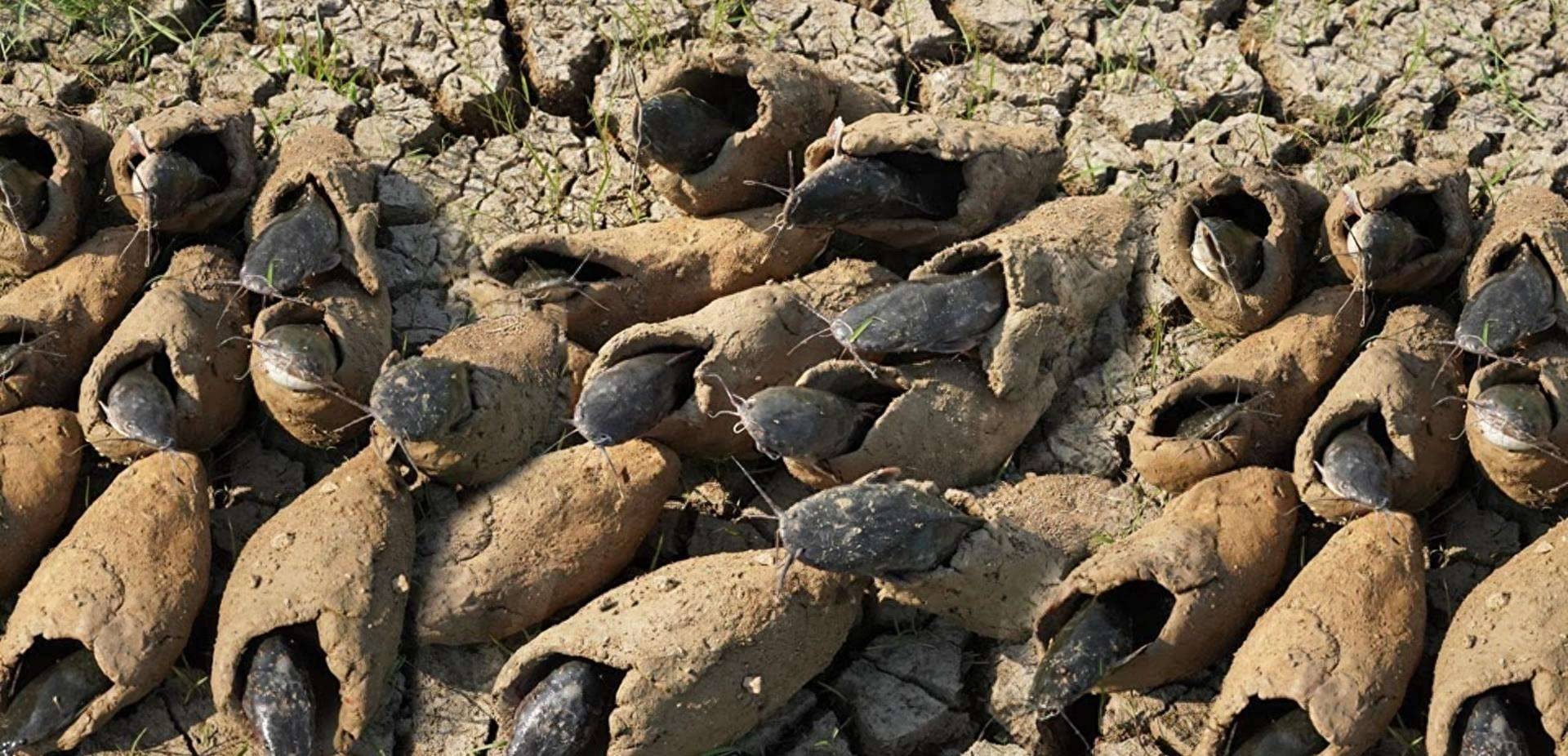 非洲大地上的秘密在干涸的河床上漫步,非洲的居民们总是留意着泥土