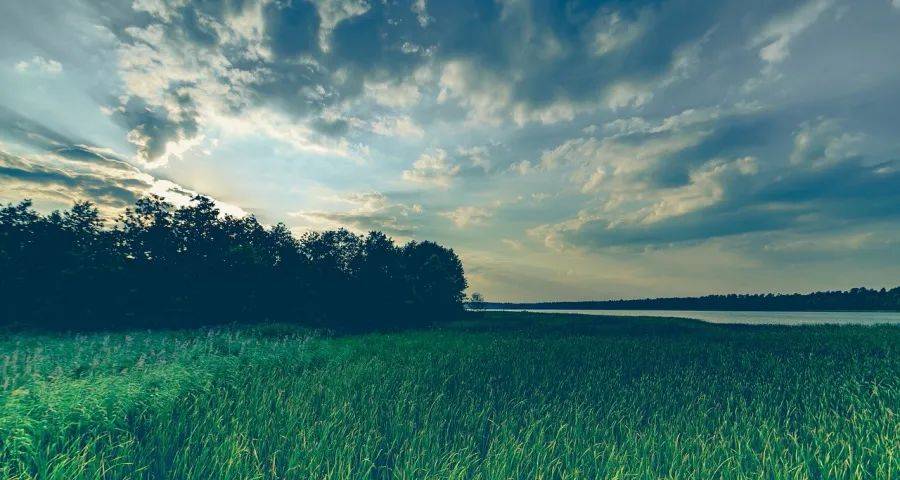 今年起家电业只能“牺牲”利润保规模-家电圈官网