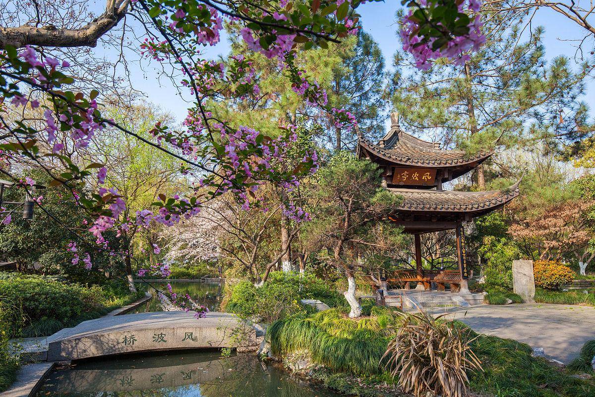 杭州绾波亭一处令人非常向往的风景_亭子_游客_西湖