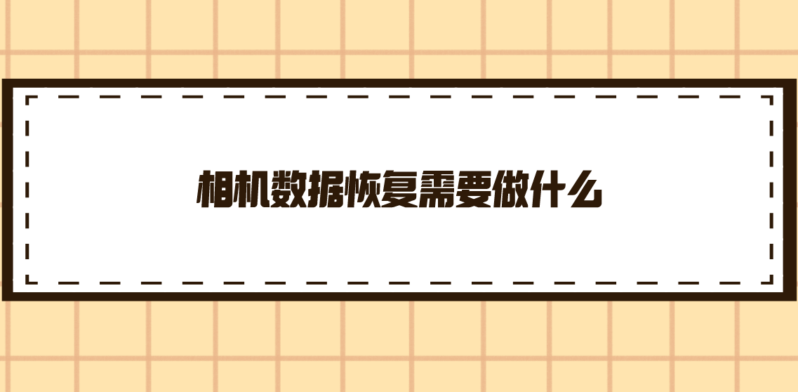 相机数据恢复需要做什么？推荐一下具体的操作方式