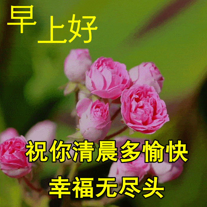 9张暖心早上好问候动态表情图片带字带祝福语 秋日清晨早安问候祝福语简短语句
