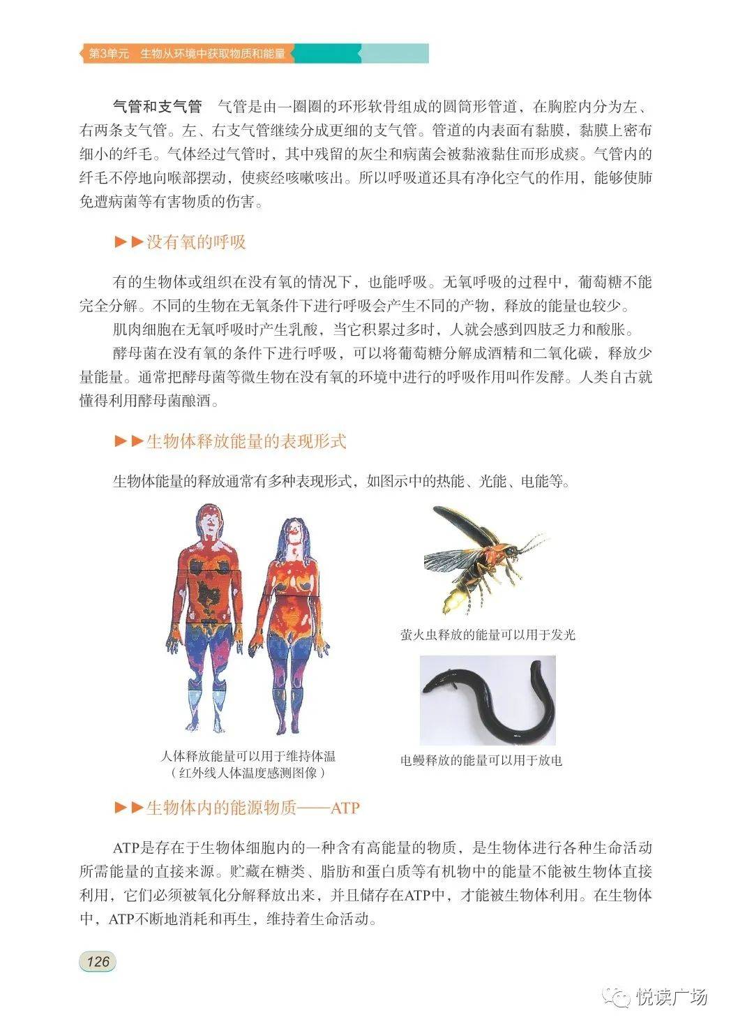 七年级下册生物书最污图片