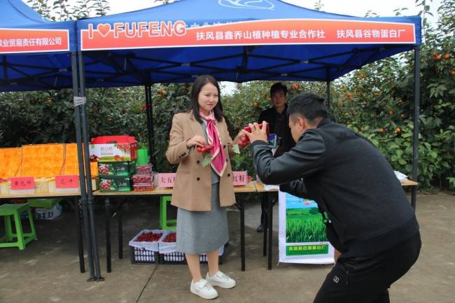 金秋送福 好"柿"连连 ——扶风县2023年电商助农促销活动_柿子_发展