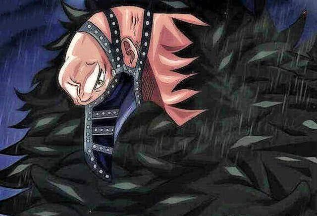 这个果实出现在《海贼王:无尽世界红》名叫帕托.