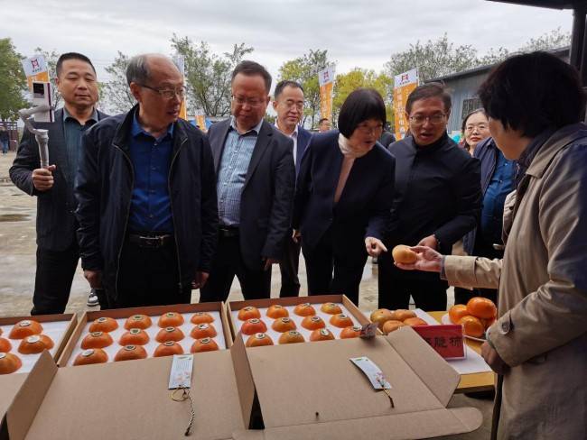 县人民政府副县长孟晓只宣布活动启动