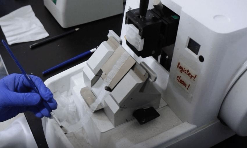 实操视频 | 石蜡切片制作之切片与展片的具体实验步骤与注意事项_技术