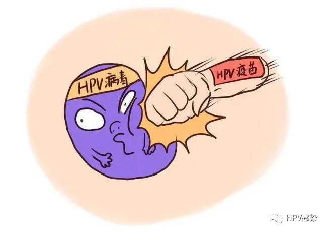 hpv是什么病尖锐湿疹图片