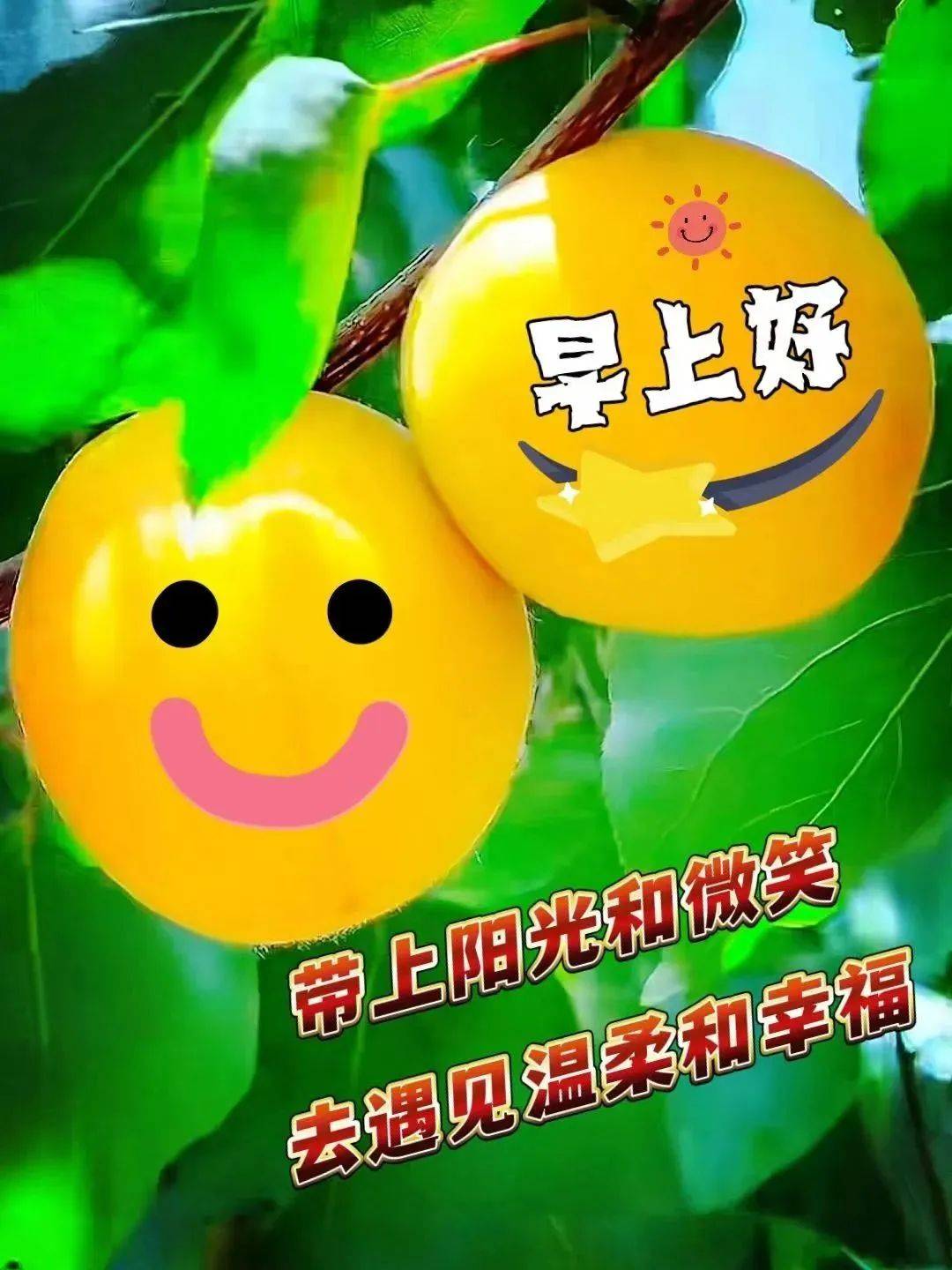 原创            10月30日星期一早上好，创意温馨的早安图片带字精选祝福语