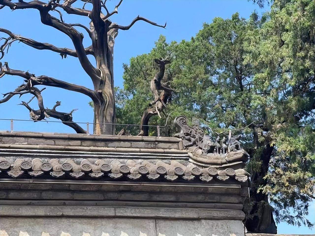 中国最神秘的寺庙，已封存500年不接客，而如今为何又对外**？(图6)