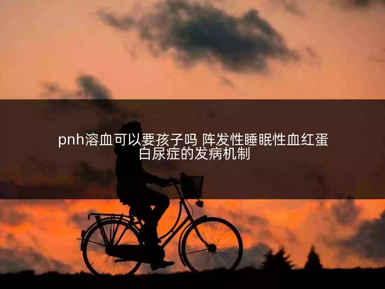 pnh溶血可以要孩子嗎 陣發性睡眠性血紅蛋白尿症的