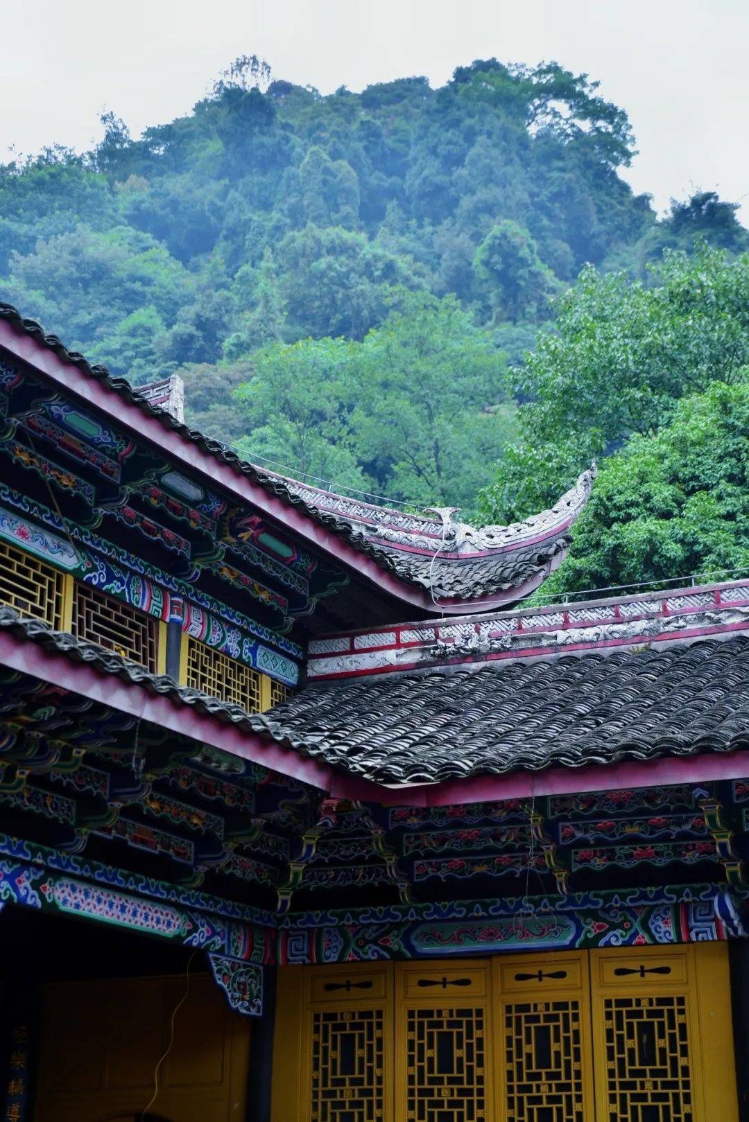 可选择低山区的雷音寺—纯阳殿—神水阁—中峰寺这一段进行休闲徒步