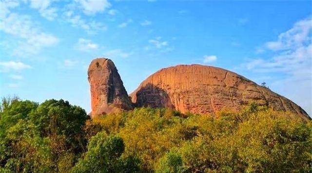 闭壳龟;再瞅瞅近处,什么草龟,锦龟,木雕龟;看看,眼前就有泥龟,水龟,粗