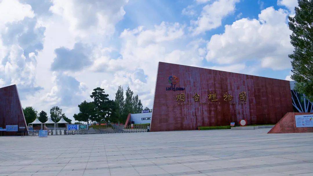 我被烟台的秋天迷了眼……_植物园_秋色_莱山区