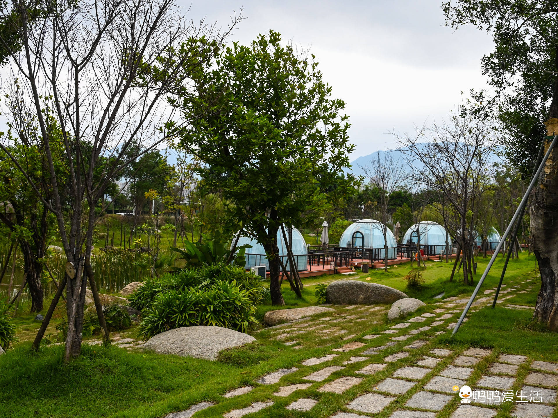 鸭鸭带你游:梁厝特色历史文化街区交通:地铁1号线或6号线梁厝站a1出口