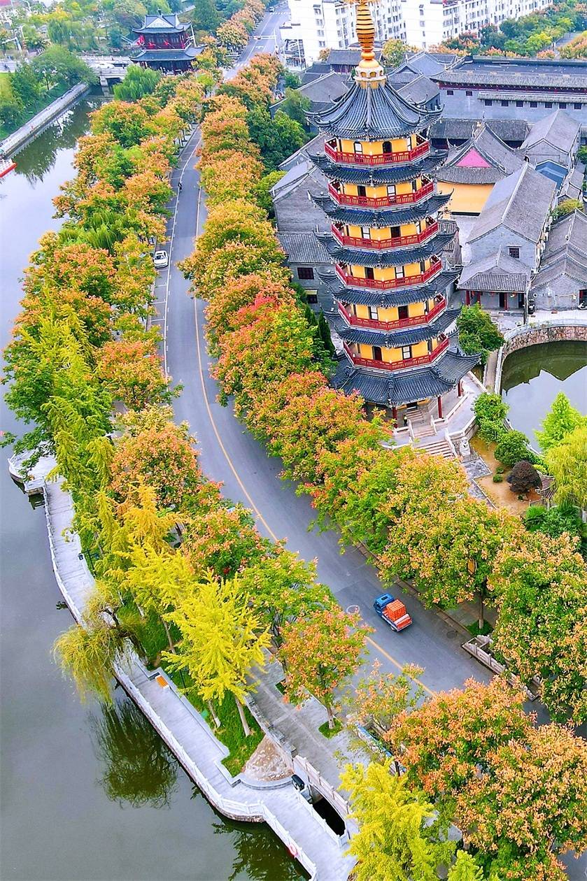 如皋的秋天,像是大自然打翻了调色板,绘就了一幅幅美丽的图画_护城河