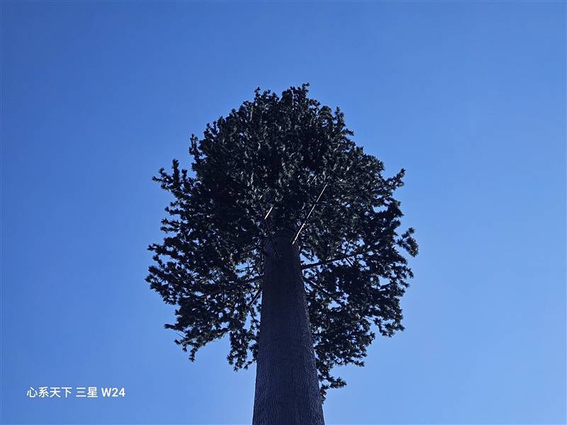 外观性能全面升级！心系天下三星W24评测：最有排面的折叠屏旗舰(图49)