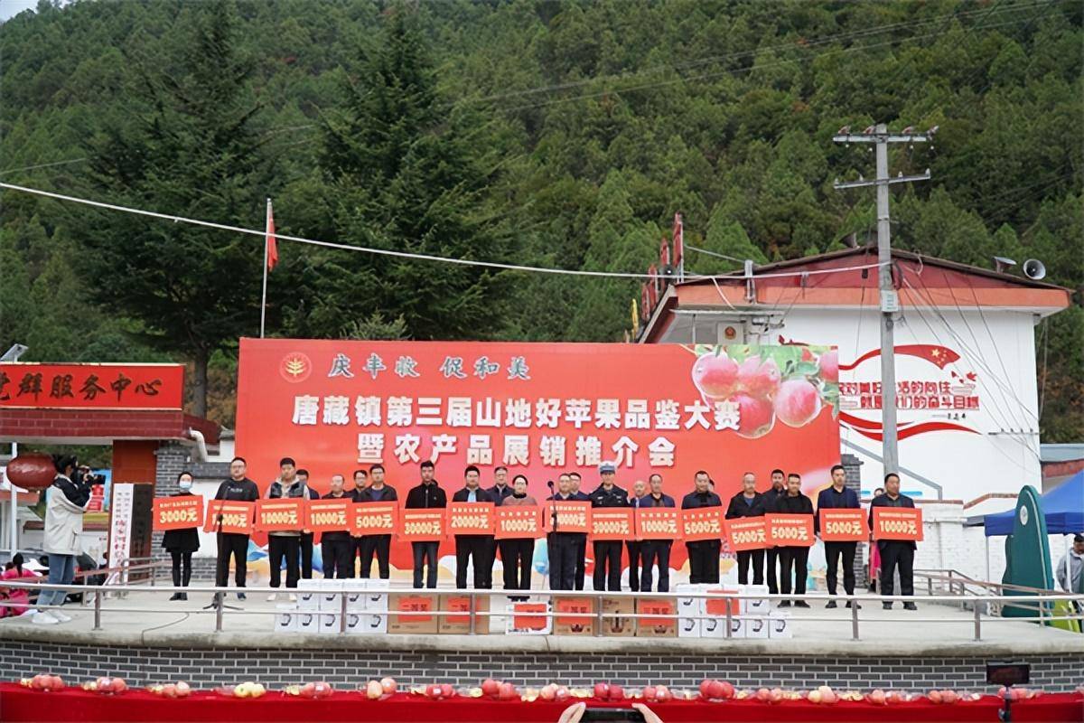 庆丰收 促和美—凤县唐藏镇举办第三届山地好苹果品鉴大赛暨农产品