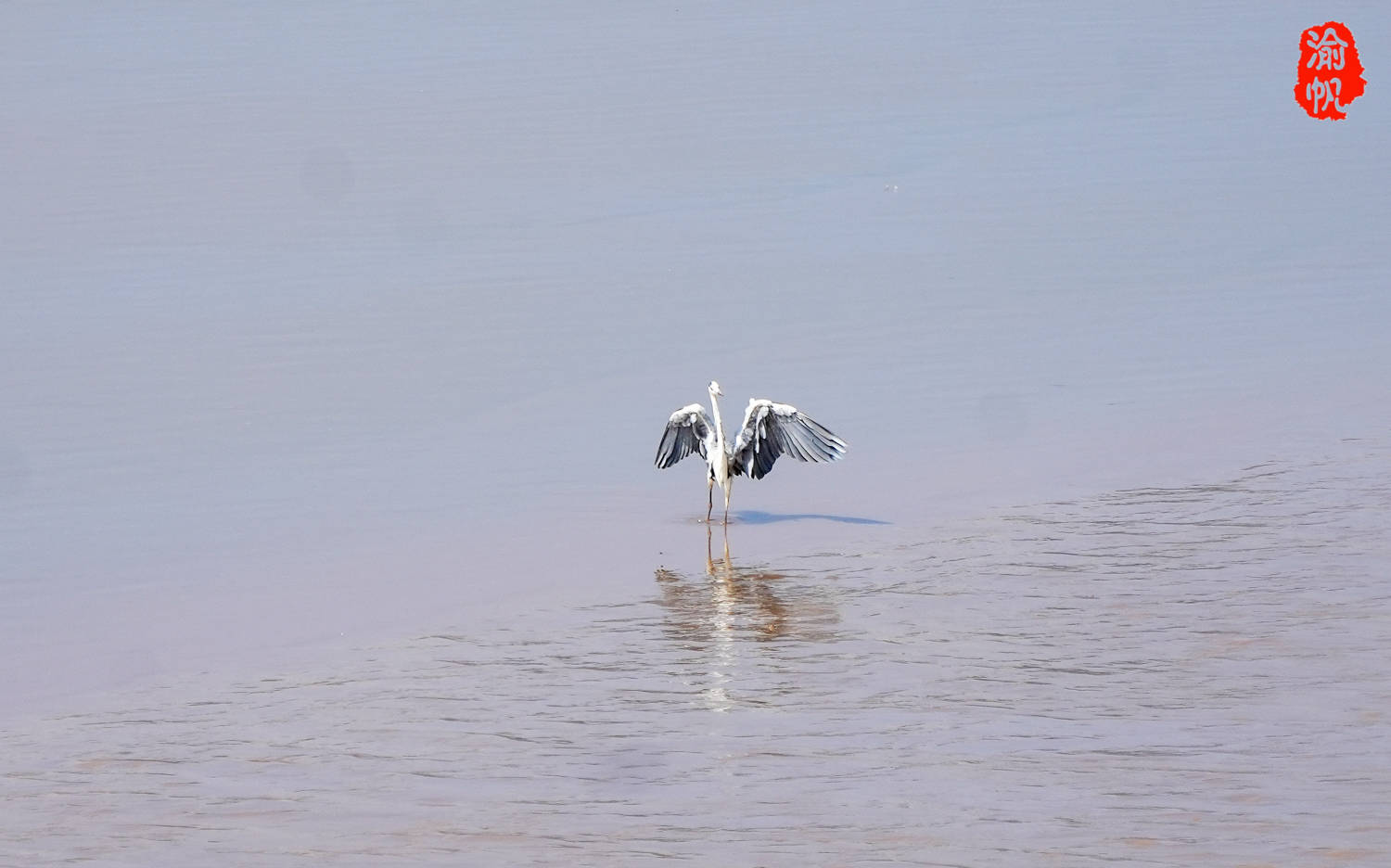 瑞安还是一座人杰地灵的城市,这里先后走出了汉代的安