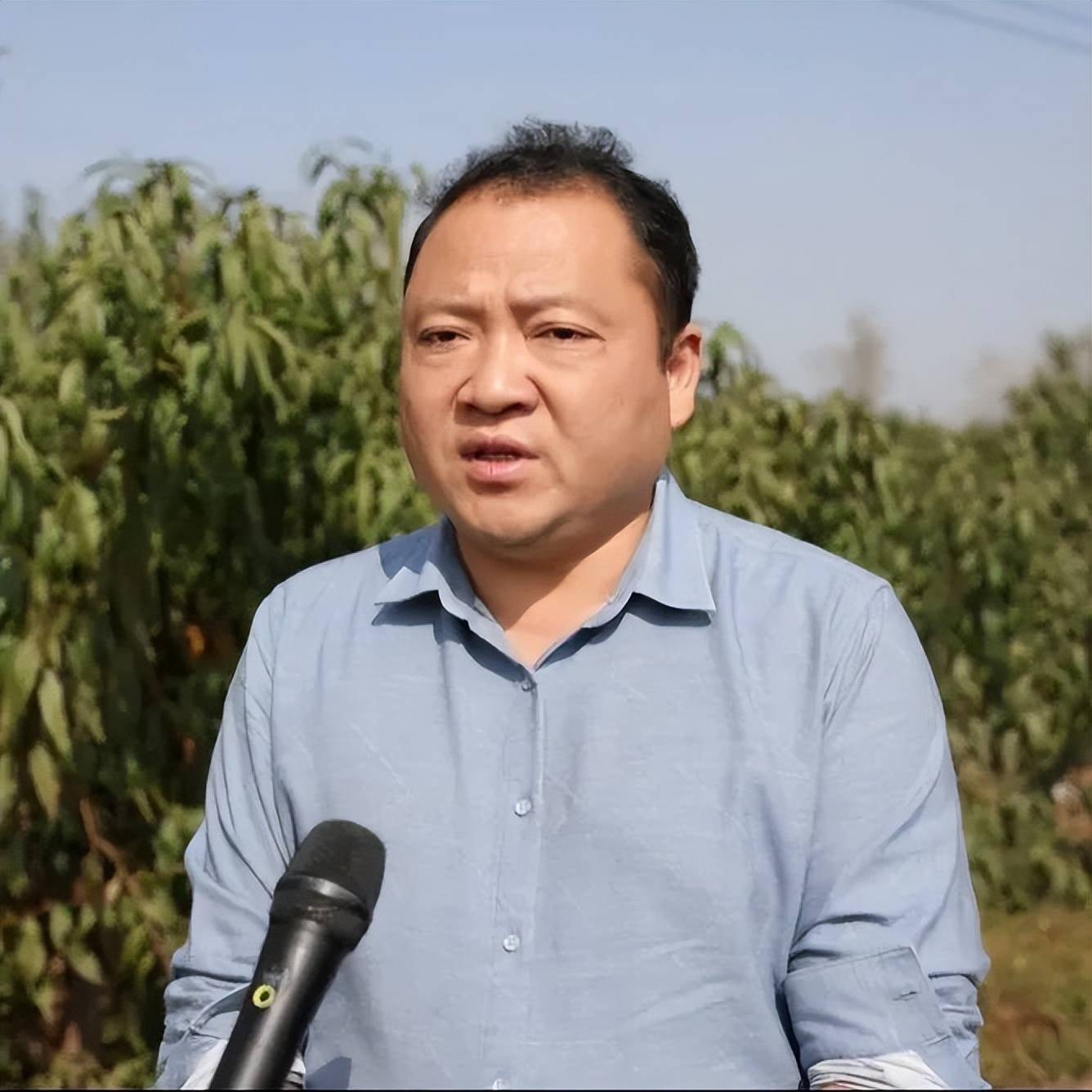 阜阳阜南:冬桃甜香飘满园 果农丰收喜笑颜_龙王乡_种植_发展