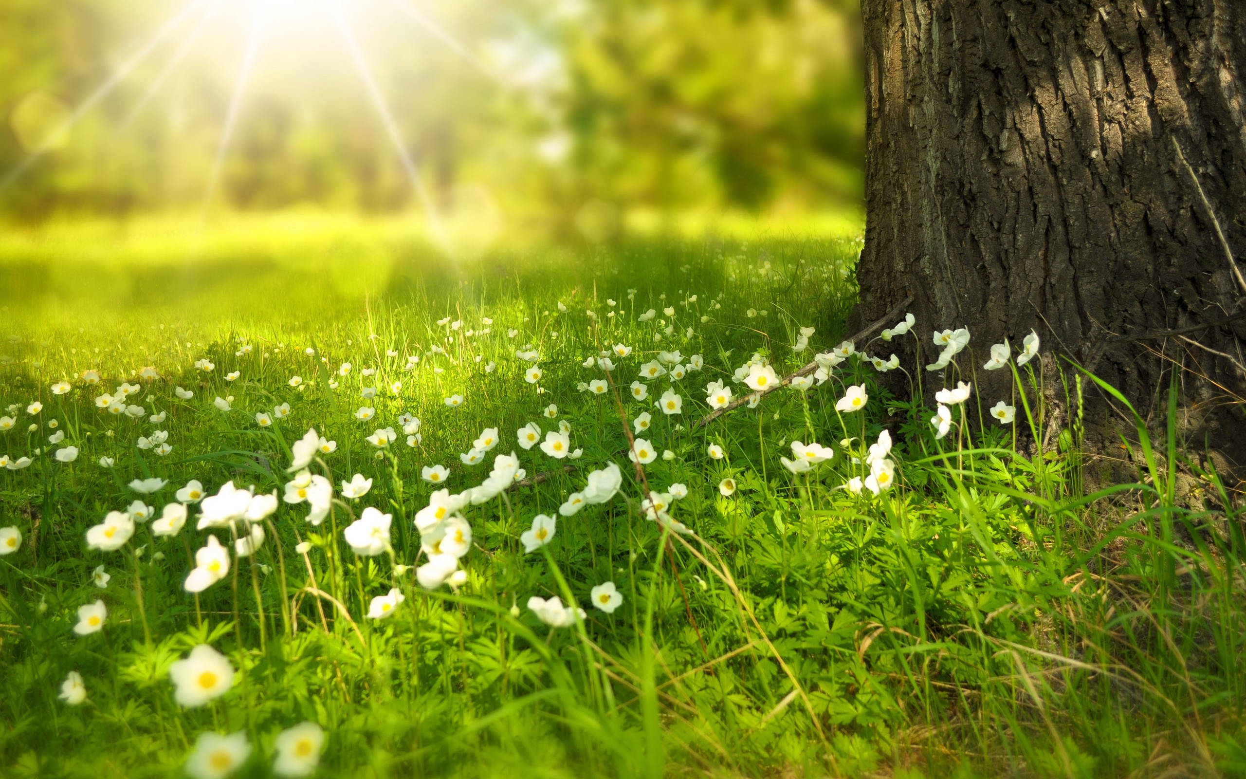 有野心,有抱负,为目的不择手段的这2大星座,不达目的誓不罢休_城府