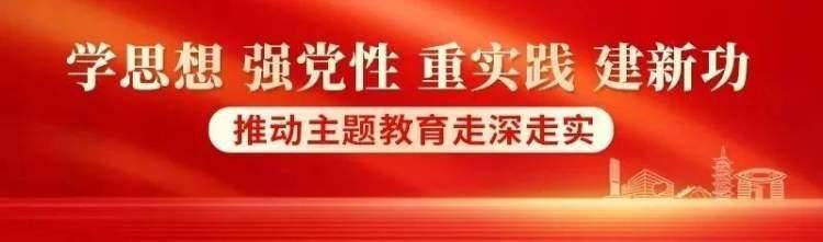 嘉定区人大常委会主任连正华主题教育专项调研南翔镇重点企业