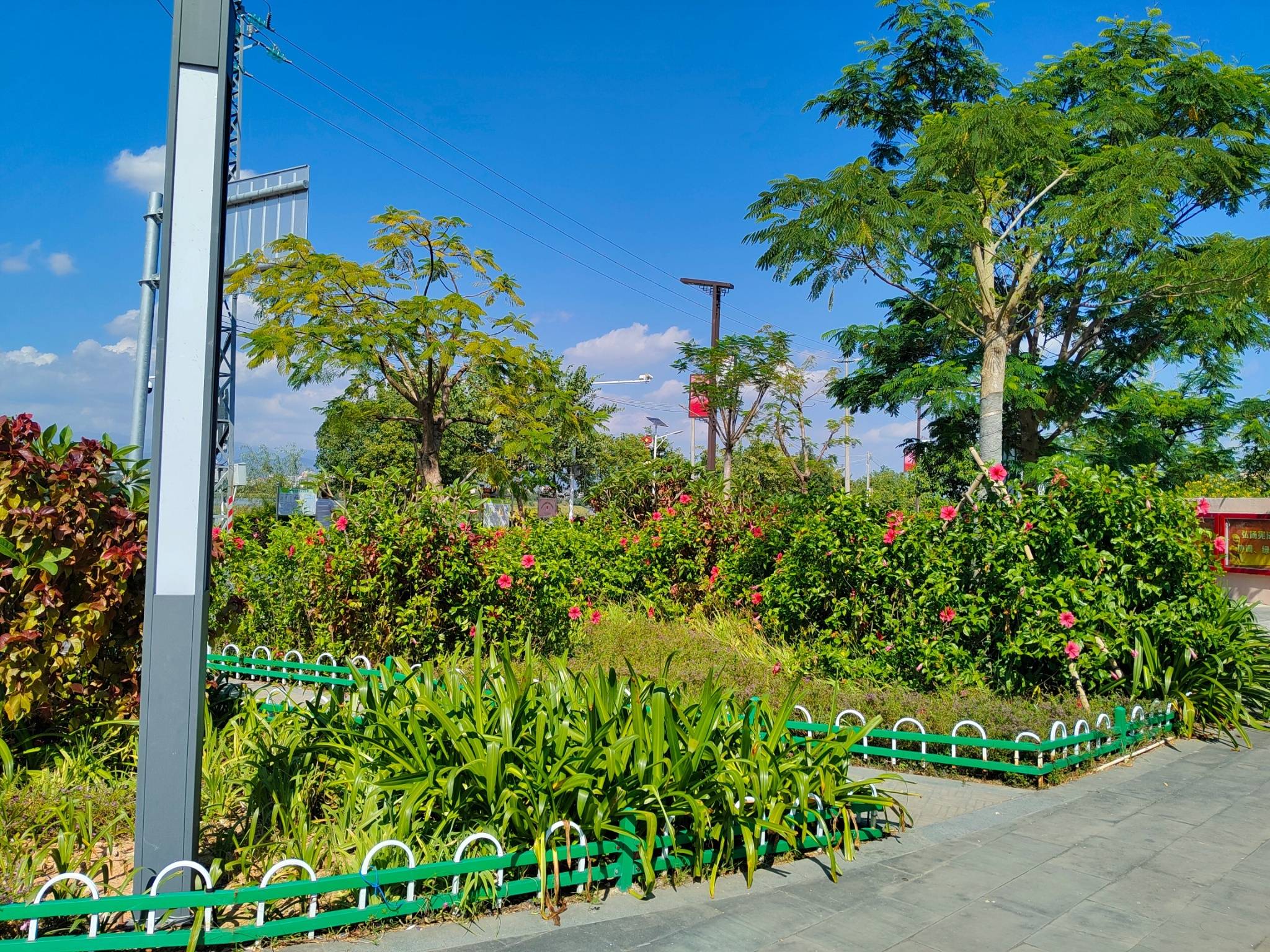 桥冲镇深入推进"百千万工程"(上)_建设_发展_文化