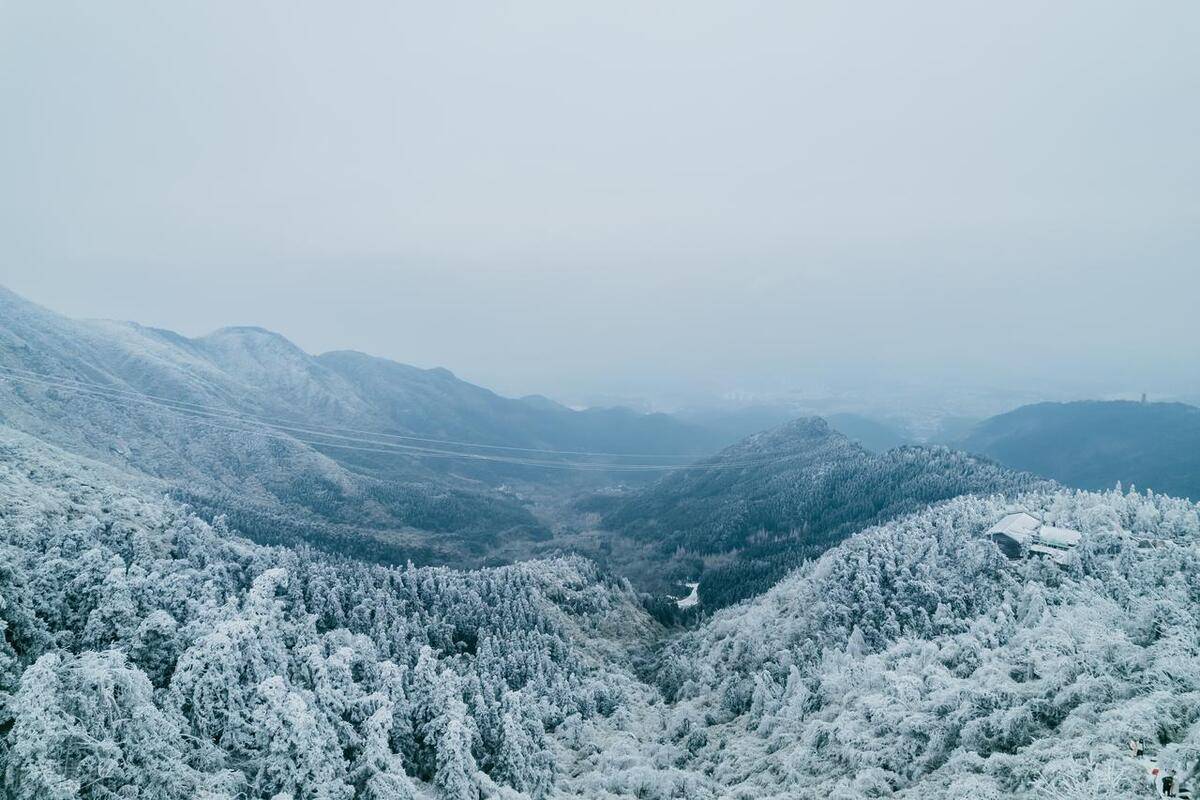 南岳衡山雪松图片图片